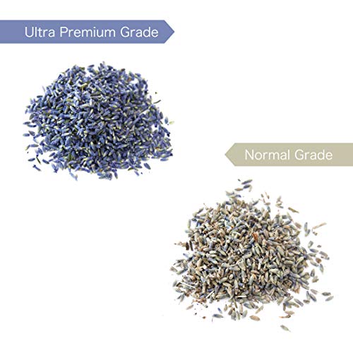 image for Lavande Sur Terre Dried Lavender Flower Buds for Crafts, Baking, Tea, 