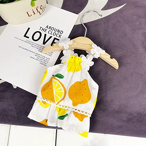 Vêtements pour chiens et jupes d'été légères pour petits chats