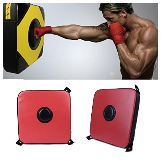 Cicitop Wall Focus Target Boxing Bag, Solid and Portable, Ideal for Fitness, Martial Arts Training, Thai Kick Training, Focus Target Punch Training.