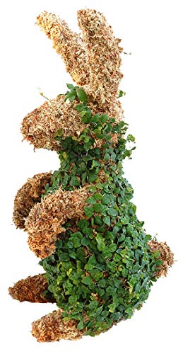 Rabbit Topiary Form 17 inches high