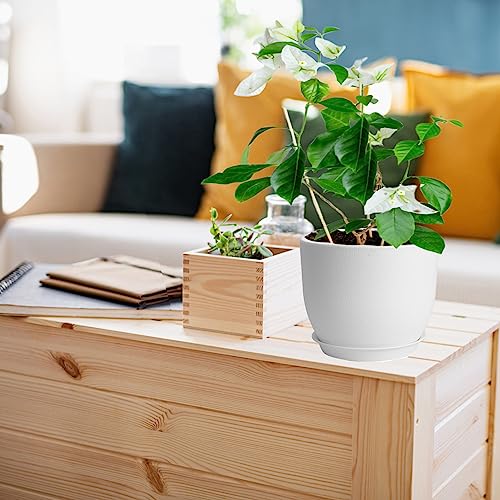 PROFIKLA 20cm, 18cm, 16cm Plastic Plant Pots, Plant Pots with Drainage Holes and Saucers, A Set of 3 Flower Pots - Image 4