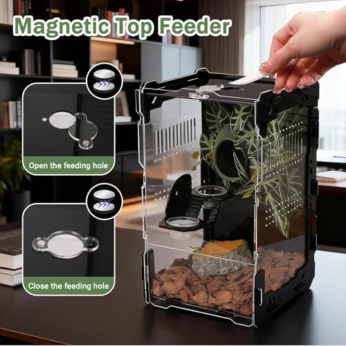 Image of Jumping Spider Enclosure - 3mm Black Transparent Acrylic Terrarium for Tarantulas, Mantises & Frogs, 11.8x5.9x5.9 Inch Mechanical Frame Habitat with Magnetic Feeding Hole & Rotating Lock