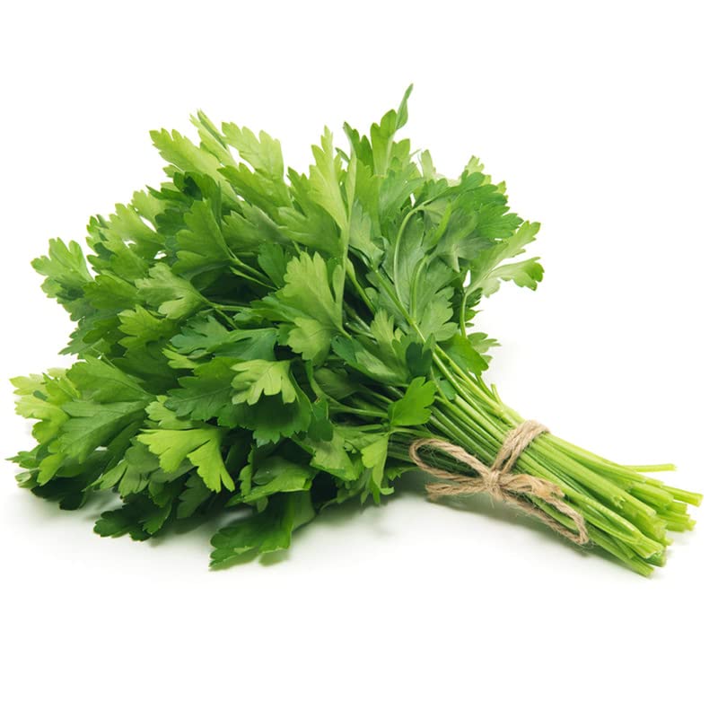 Miniatura 3 de Perejil-Gigante Italiano (100 Semillas)