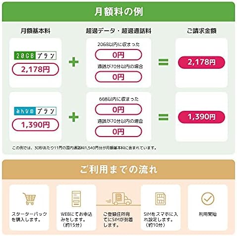 Amazon Co Jp 日本通信sim 合理的プラン 申込パッケージ ドコモネットワーク 音声通話付き スターターパック Nt St P 家電 カメラ