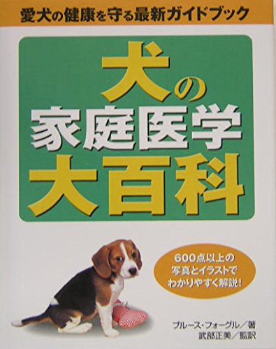 51XUIERwskL.jpg