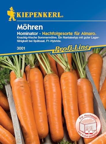 Kiepenkerl Profi-Line Möhrensamen Nominator, F1 3001 – Knackig-frische Sommermöhre - Inhalt für 5 laufende Meter - Fruchtlänge 15 bis 20 cm - Gemüsesamen