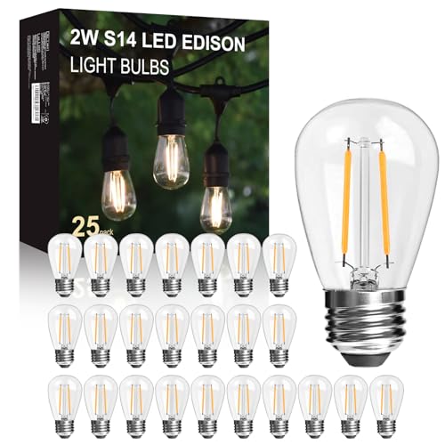 LangPlus+ Lot de 25 ampoules LED S14 2W en verre, culot E27, 2700K, blanc chaud, ampoules Edison LED pour guirlande lumineuse, non dimmable, équivalent 2W à une...