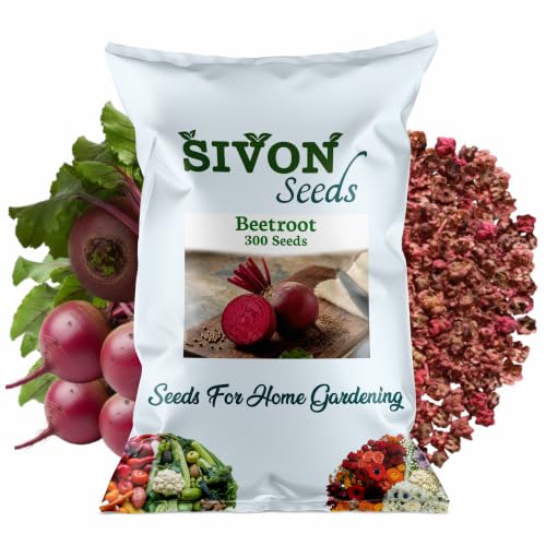 Image of SIVON Beetroot (Chukandar) (300 Seeds) Vegetable Seeds for Home Garden, Organic & Hybrid, Perfect for Home Gardening, Planting For Pots and Patio
