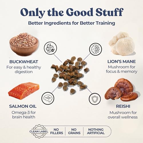 Healthybud Mini Beef Liver Dog Training Treats – Soft Low Calorie Trainer Bites (1 kcal Each) – 500+ Tiny Rewards for Puppies & Small Dogs – with Lion’s Mane & Reishi – Made in Can image 7