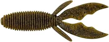 51XURojZ6nL._AC_UF350,