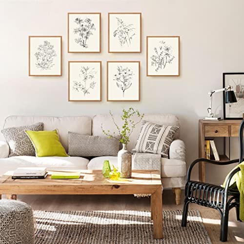 Roslynity Vintage Botanical Wall Art Prints Set Of 6 Plant Floral Sketches Prints Art Posters Retro Nature Flower Aesthetic Pictures For Living Room Bedroom Cottagecore Decor (8"X10" Unframed) #TOP5