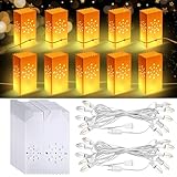Geetery 20 Pcs Electric Reusable LED Luminary Bags with 2 String Lights Outdoor Luminary Bags Plug in and Pathway Lighting for Christmas Halloween Thanksgiving (Circular Aperture Style)