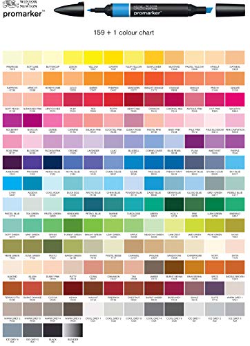 Image of Winsor & Newton Promarker, Alcohol Based Markers, Shale (R215), Double Tipped Drawing Marker Set for Artists, Graphic Designers, Illustrators - Chisel & Fine Twin Tip, Streak Free Coverage