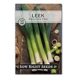 Sow Right Seeds - American Flag Leek Seed for Planting Vegetable Garden