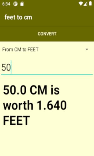 Convert Feet to CM
