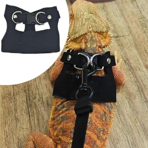 Arnés de ardilla ajustable y correa de paseo para camaleón, hámster y pequeños reptiles 5