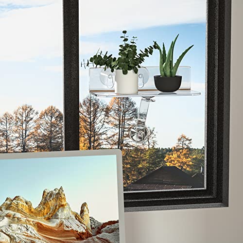 Hexsonhoma Clear Acryl Fenster Pflanzenregale, 30CM Fenster Pflanzenständer mit Beinen, Keine Notwendigkeit Drilling Indoor Fenster Saugnapf Regal Wand Regal für Pflanzen(2 Packung)