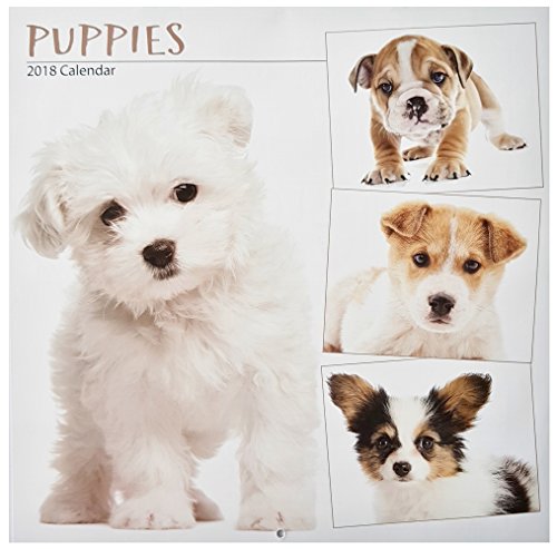 Télécharger Calendrier mural 2018 16 mois, chiens chiots, pour Noël anniversaire cadeau maison bureau Puppies PDF