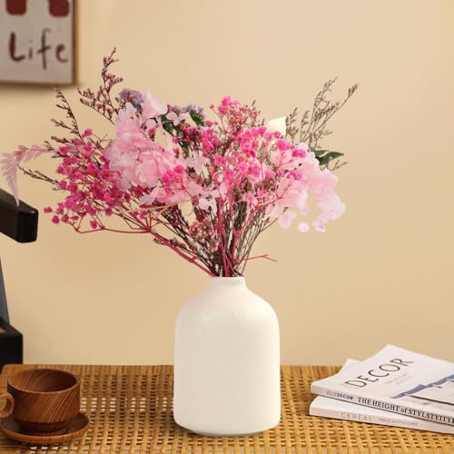 AMFUN Natürliche getrocknte Blumen, Trockenblumen Zum Basteln, Getrocknete Blumen, Trockenblumen für Kunst DIY Harz Scrapbooking Handwerk Karten Machen
