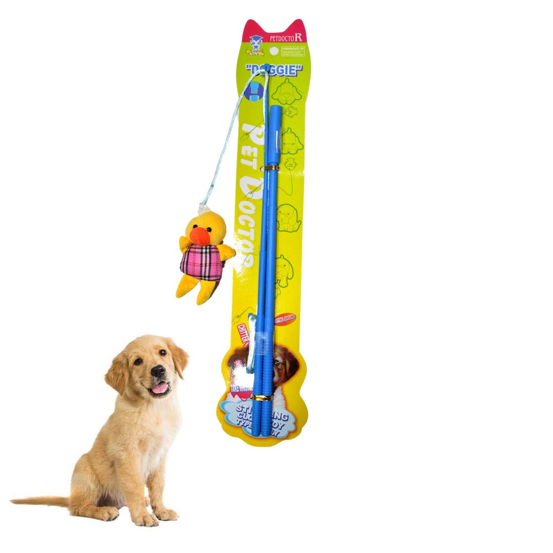 TAIYO PLUSS DISCOVERY® Dog Amusing Playing Stick, Interactive Toy for Puppies, Dog Teaser Playing Stick with Toys, Suitable for Puppies & Small Dogs (Color: Blue) (B08W9RXCRG) Amazon Price History, Amazon Price Tracker