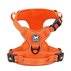 Orange(Matching Trim)