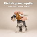 Ver la foto 7