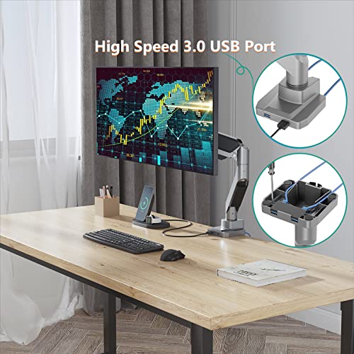 Image of WALI Ultrawide Monitor Arm for 13 to 49 Inch Heavy Duty Curved Screens, Adjustable Single Monitor Desk Mount with 2 USB 3.0 Ports, Holds 33 lbs, 75x75 /100x100 VESA, Silver (GSMU001)