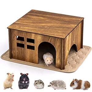 Guinea Pig Hideout and House with L...