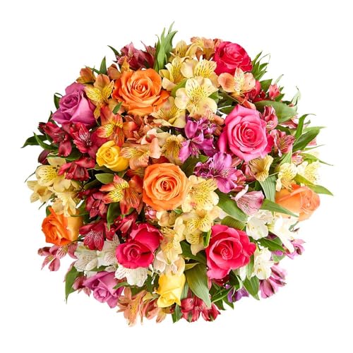 1800 Flowers – Assorted Bright Roses & Peruvian Lilies Double Bouquet (Bouquet Only) | Fresh Cut Spring Flowers for Delivery | Gift for Easter, Anniversary, Sympathy, and Special Occasions