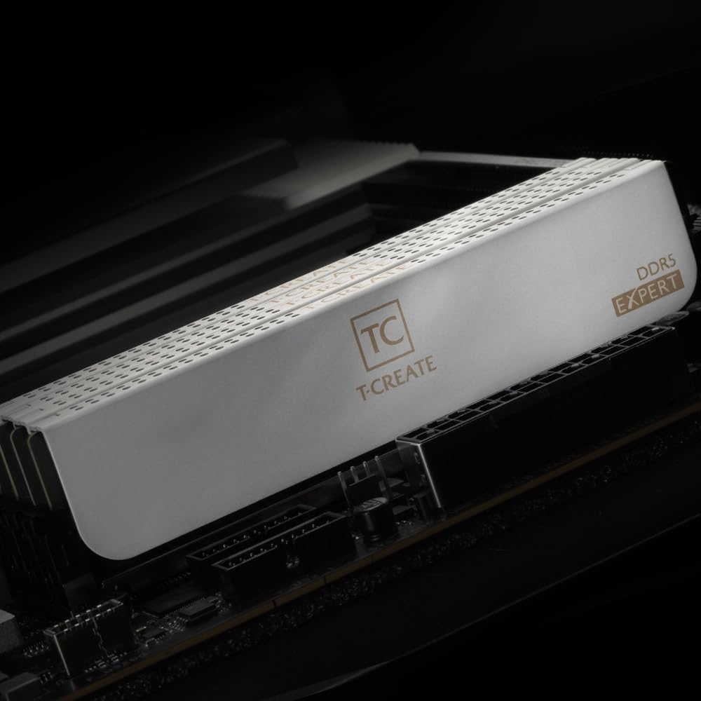 Amazon.in: Buy TEAMGROUP T-Create Expert Overclocking 10L CL28