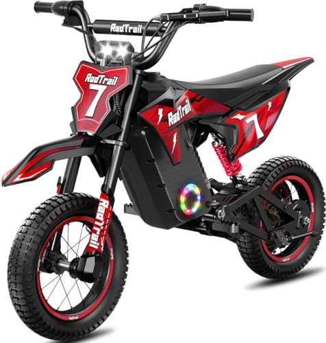 ACECRUISERS 36V Electric Dirt Bike