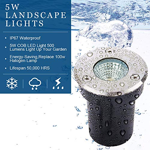 Eleglo Led Landscape Lights Low Voltage 5W Well Lights,Low Voltage Landscape Lighting,Ip67 Waterproof In-Ground Lights For Garden,Yard, Driveway, Deck,Pathway Lights(12V/24V Warm White 10Pack) #TOP2