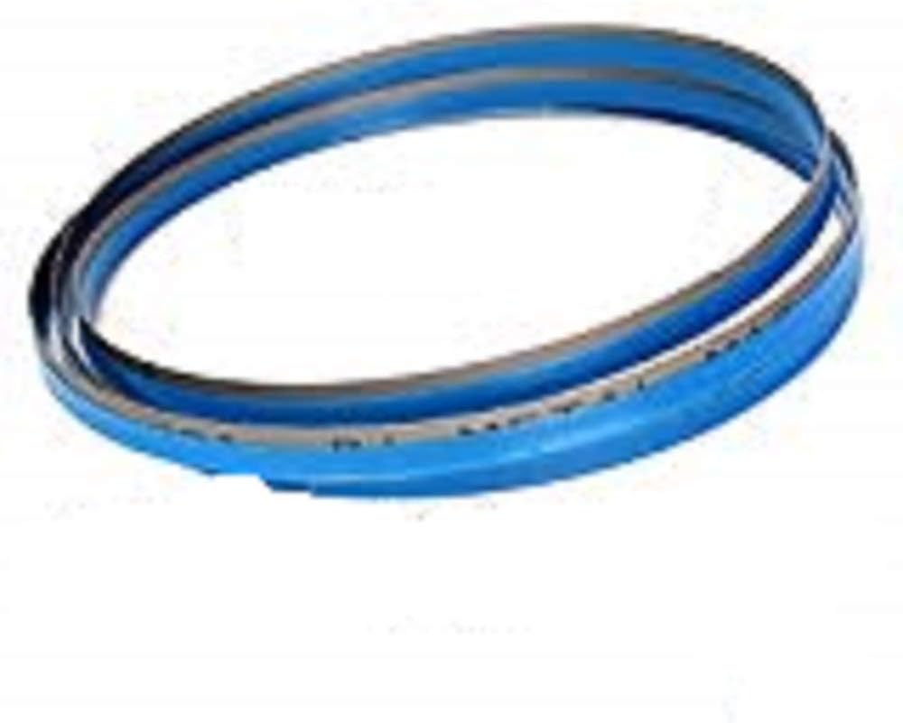 Band Saw Blade Femi 780-782-783 Development 13/0.65 Dent. 8/12