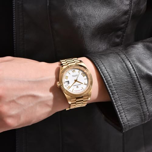 Image of LACZ DENTON Pagani Design DD36 Men's Watches Luxury Automatic Watch Men AR Sapphire Glass Mechanical Wristwatch Men 10Bar ST16 Movement