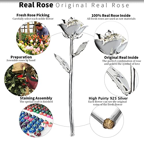 Image of Silver Rose, Silver Dipped Rose Made from Real Rose Best Gifts and 25th for Wife, Silver with Stand