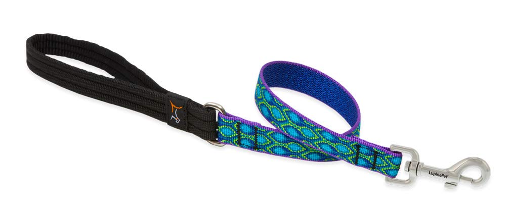 LupinePet Originals 3/4" Rain Song 2-Foot Traffic Lead/Leash for Medium and Larger Dogs