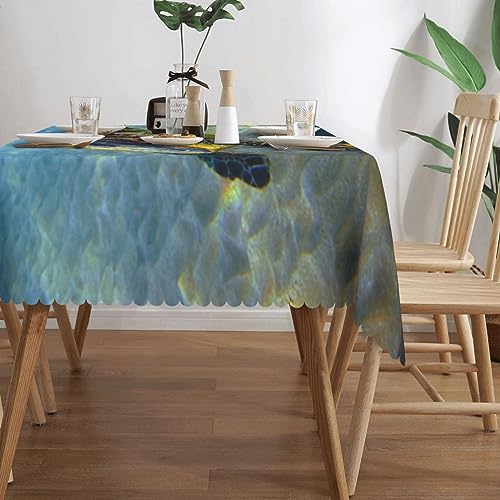 Nappe rectangulaire 137x183 cm PEIXEN lavable et infroissable pour table - 4