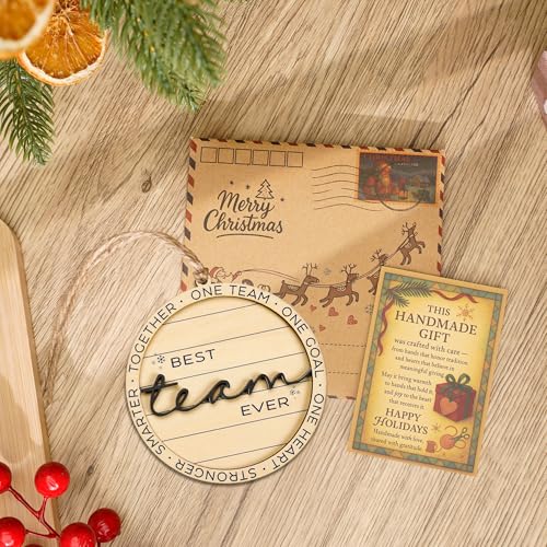 Best Team Ever Ornament Gifts, Team for Employees, Unique Work Ornament for Coworkers, Appreciation Gift for Office Staff - Inspirational Ornament for Workplace Celebration