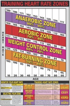 Algra Corporation CS01-L Algra Corporation CS01-L Training Heart Rate Zones Laminated Fitness Poster