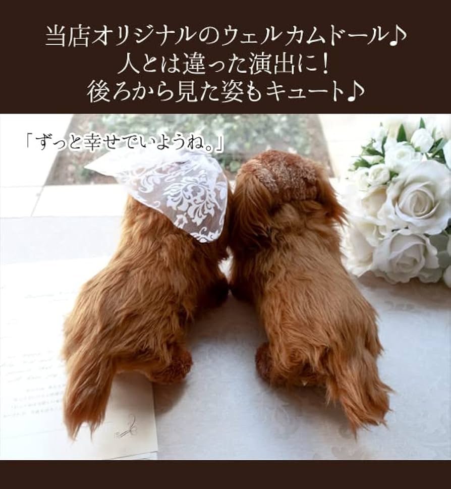 Amazon.co.jp: 【世界に一つ】ウェルカムドール 日本仕上げ 手作り