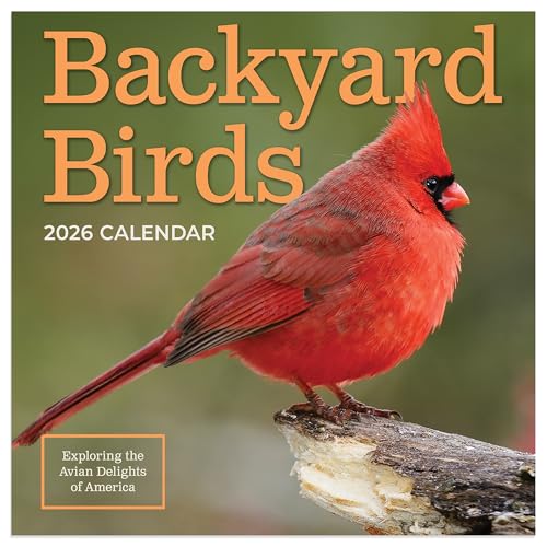 TF Publishing 2026 Backyard Birds Mini Calendar with Monthly Grids for Appointments and Scheduling - Vertical Small Wall Calendar 2026 with Premium Gloss Paper for Home and Office Organization - 7x7in