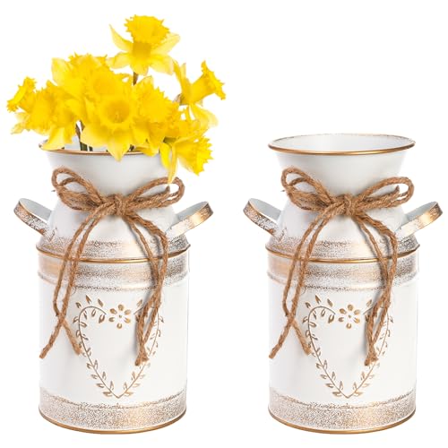 Hacaroa 2 Stück Metall Milchkanne Rustikale verzinkte Vase, 19,1 cm...