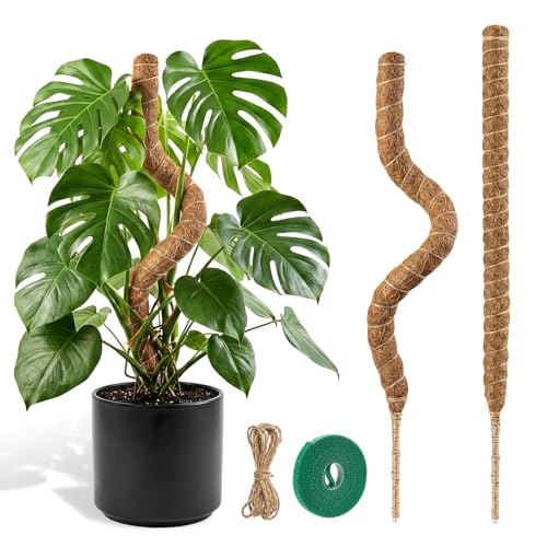 Bendable Moss Pole for Plants Garden Sage 2 Pieces of 23.6 Inch/60 cm Monstera Cheese Plants Moss Pole kit Handmade Stakes for Indoor and Climbing Plants