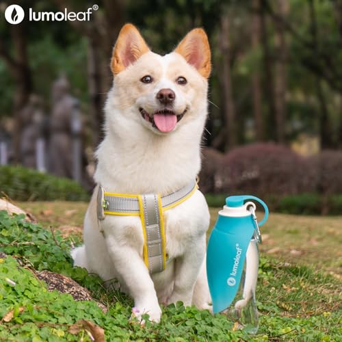 LumoLeaf Hundewasserflasche für Spaziergänge, tragbarer Wasserspender mit faltbarem Blatt-Napf – Leichte Reise-Flasche für kleine & mittelgroße Hunde, 590 ml