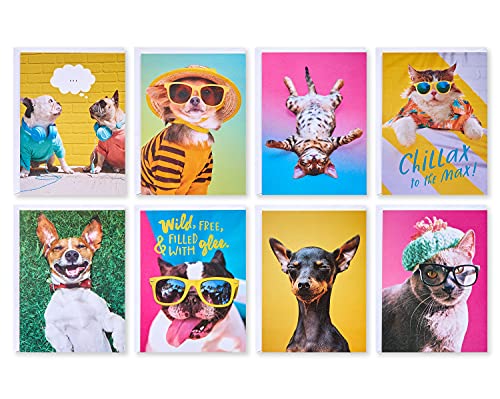 American Greetings Funny Blank Cards with Envelopes for All Occasions Dogs & Cats (48-Count)