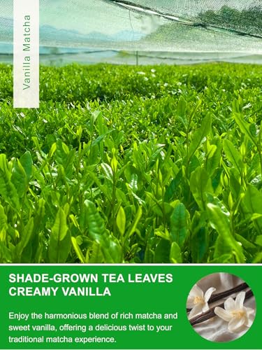 Image of TeeLux Vanilla Matcha Green Tea Powder, First Harvest Premium Matcha + Delicate Vanilla Powder, Flavorful & Aromatic, Hot or Iced Tea, 3.5oz