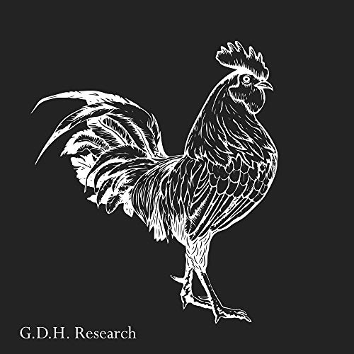 From Filmmaker to Solar-preneur with Greg Picard