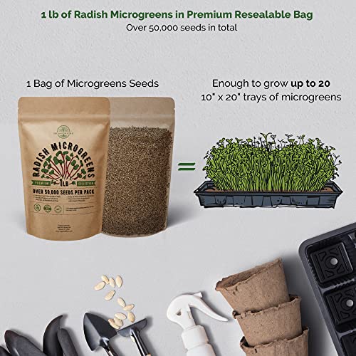 Radish Microgreens & 25 Summer Vegetable Seeds Bundle Non-Gmo Heirloom Seeds For Planting Indoor And Outdoor Over 52,000 Microgreen & Vegetable Seeds In One Value Bundle #TOP1