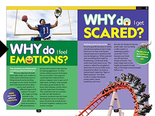 Why? The Human Body - Image 4