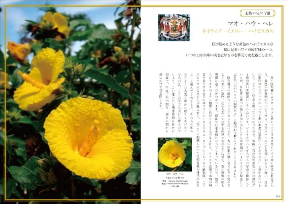 Hawaii de 花散歩 Hawaii de 花散歩 | Hiroshi Makaula Nakae |本 | 通販 | Amazon